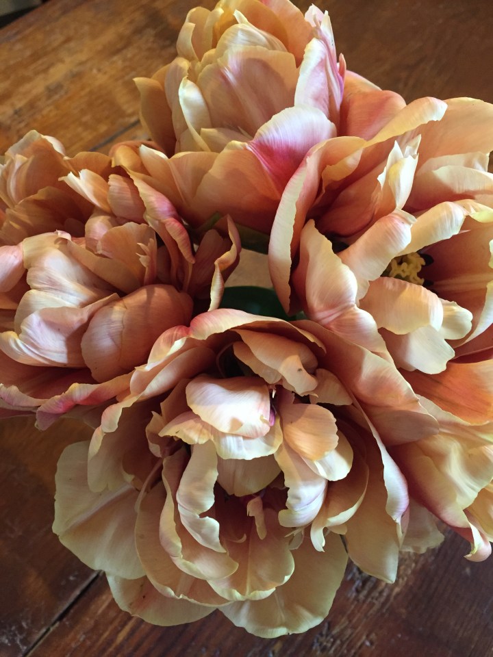 La Belle Epoque: Sunday&nbsp;Treat