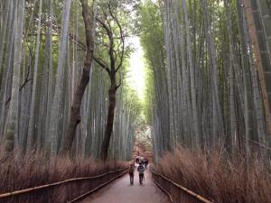 1518981_10152091511682230_328486914_n